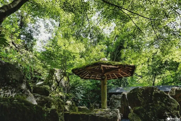 Kyoto’s Best Hiking and Hot Springs