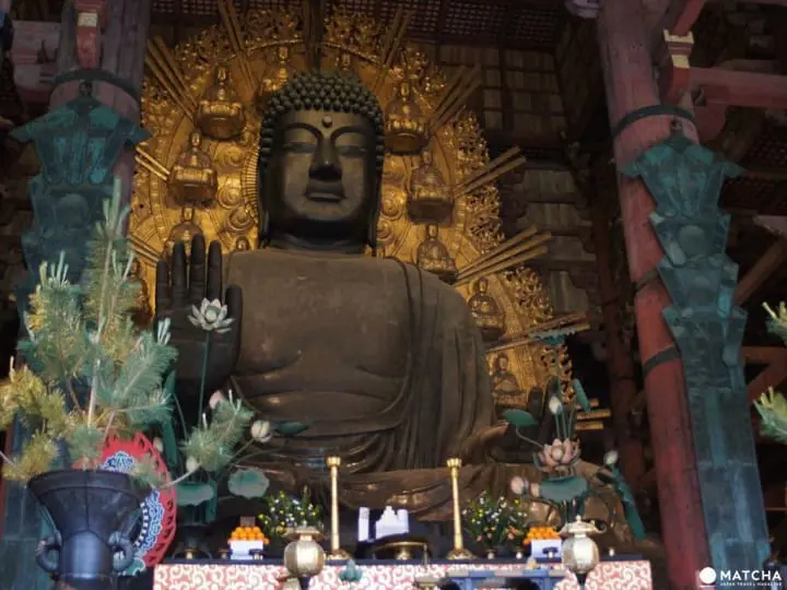 Panduan Wisata Menikmati Kota Nara dalam 2 Hari