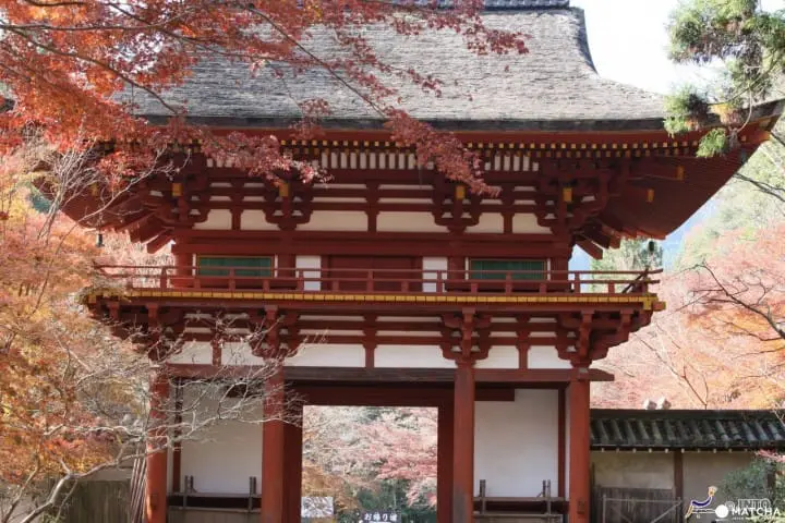 Panduan Wisata Menikmati Kota Nara dalam 2 Hari