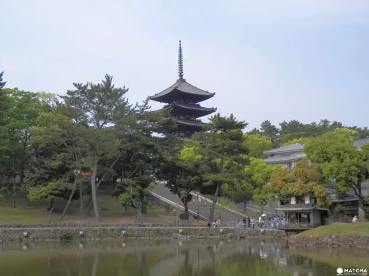 Panduan Wisata Menikmati Kota Nara dalam 2 Hari