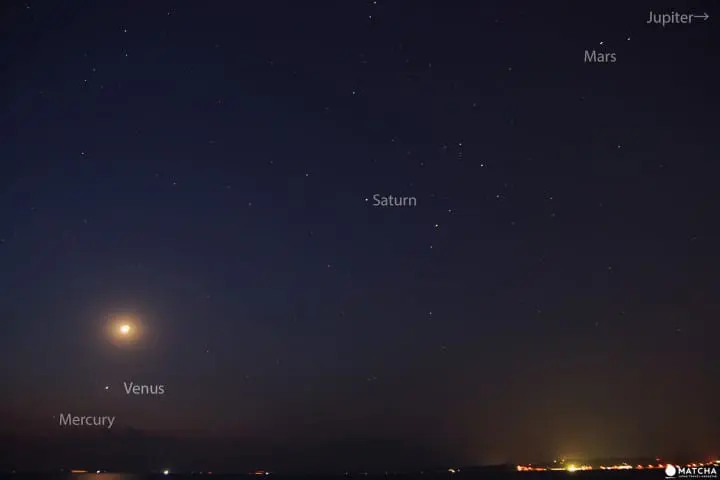 cherry blossoms and starry sky in Shizuoka