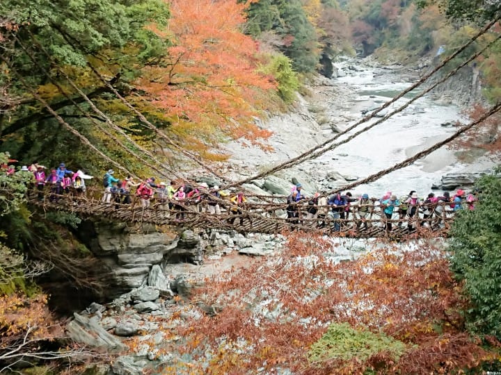 【德島】跟著懷舊巴士遊德島