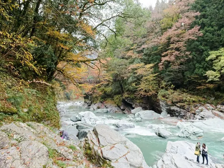 【德島】跟著懷舊巴士遊德島