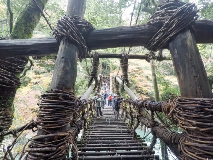 【德島】跟著懷舊巴士遊德島