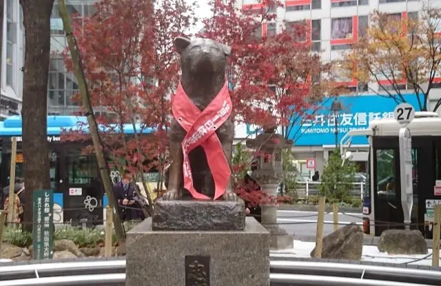 可愛到犯規的汪星人 這六種日本犬都想抱緊處理呀！