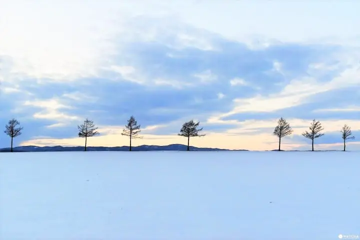 冬だからこそ来たい！「網走」オススメ觀光景點5選！