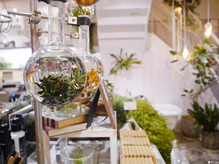 botanist店面 原宿