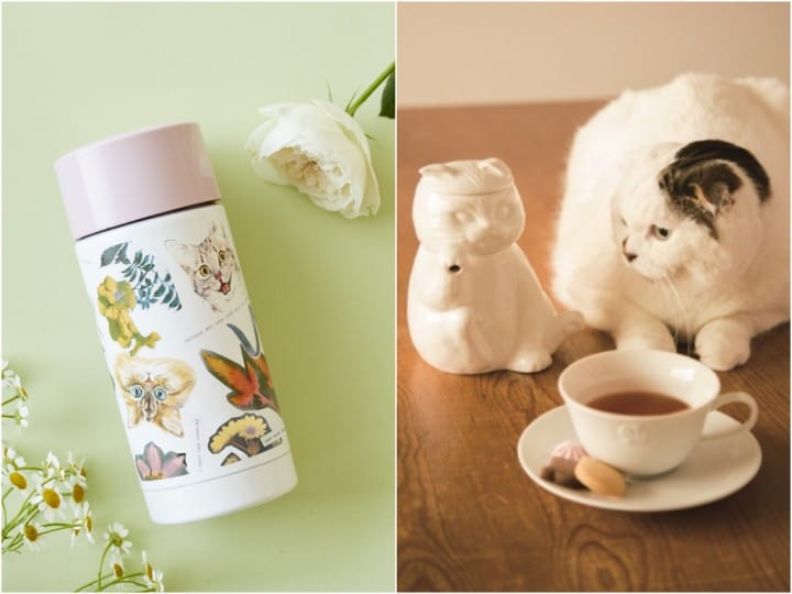 立體貓咪茶壺組 保溫瓶Afternoon tea