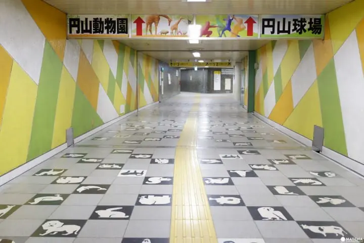 北海道神宮參拜-3