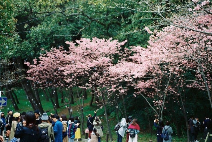福岡西公園