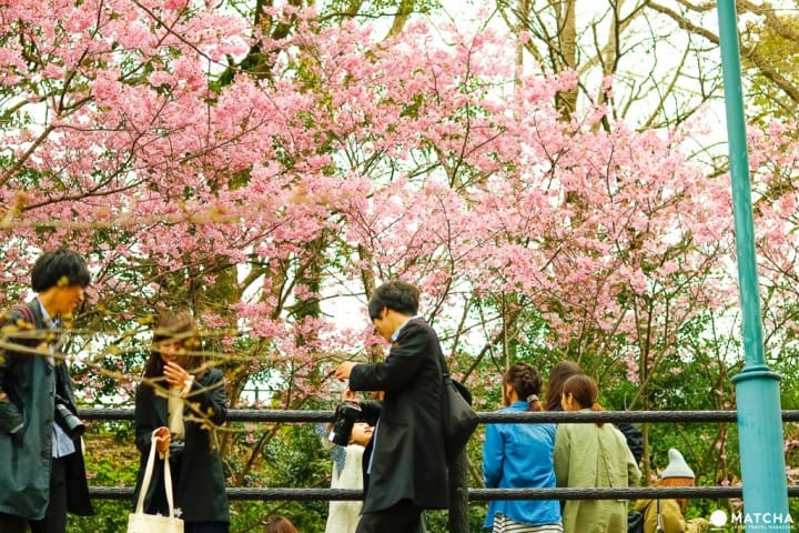 福岡西公園