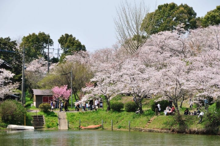 福岡甘木公園