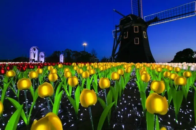 豪斯登堡郁金香祭