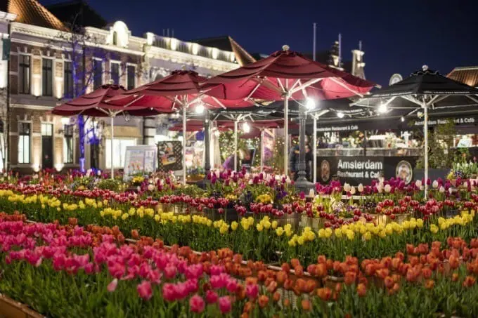 豪斯登堡郁金香祭