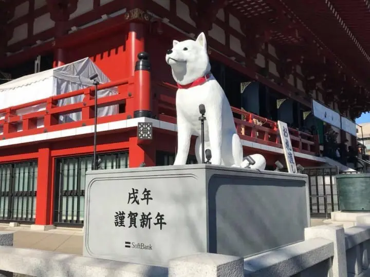 可愛到犯規的汪星人 這六種日本犬都想抱緊處理呀！