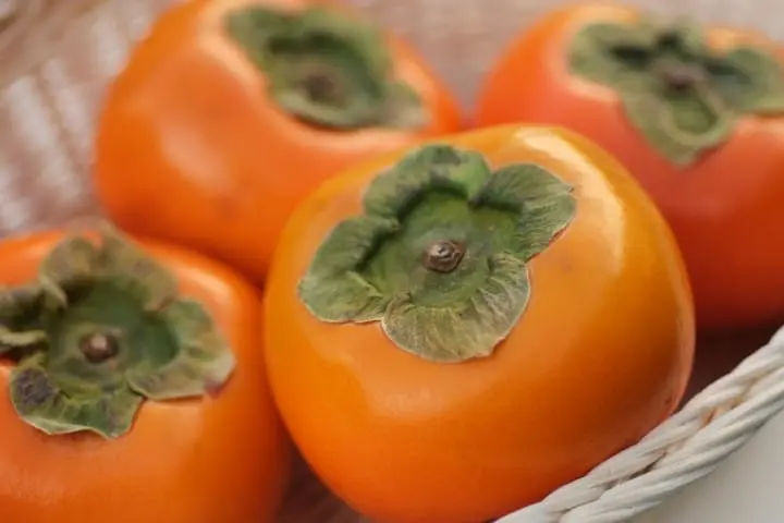 日本的宅配二三事