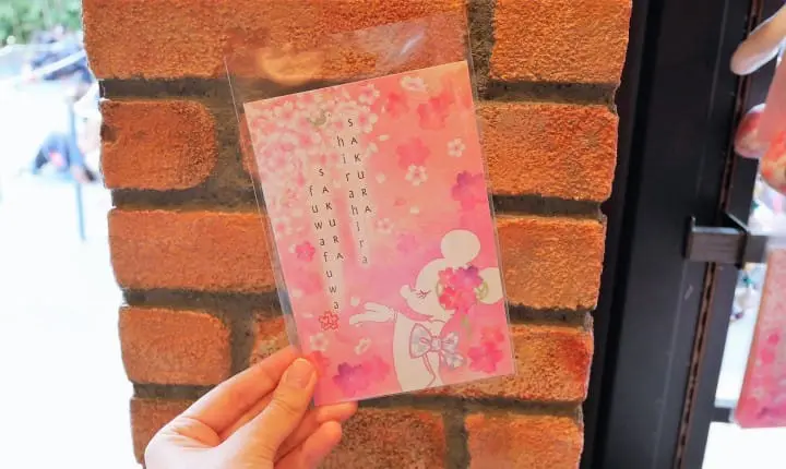 Cherry Blossom Postcard