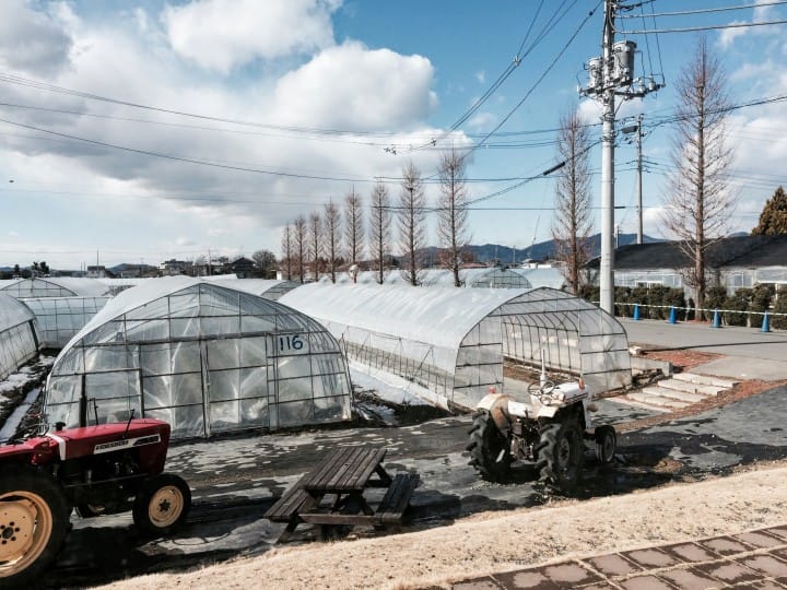 搭東武鐵道直達草莓王國「栃木縣」,特色景點讓初訪的你也能玩得很道地!