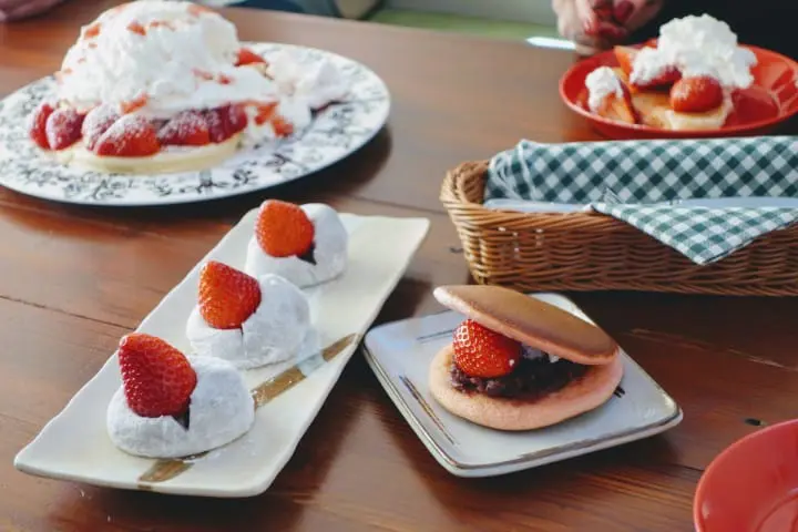 搭東武鐵道直達草莓王國「栃木縣」，特色景點讓初訪的你也能玩得很道地！