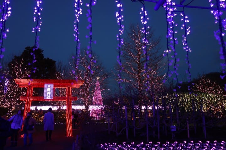 搭東武鐵道直達草莓王國「栃木縣」,特色景點讓初訪的你也能玩得很道地!