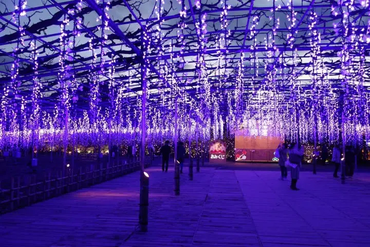 搭東武鐵道直達草莓王國「栃木縣」，特色景點讓初訪的你也能玩得很道地！