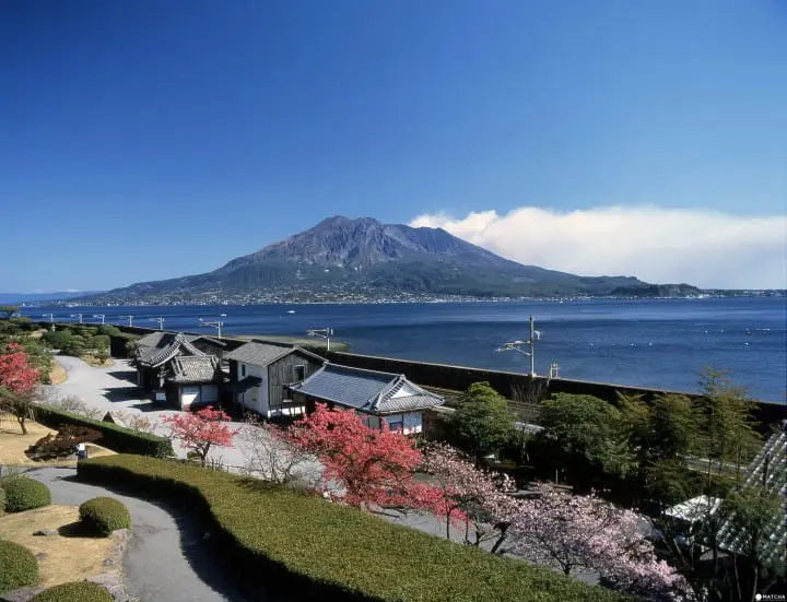 【最新版】大自然と桜の絶景にうっとり。九州地方の桜の名所10選