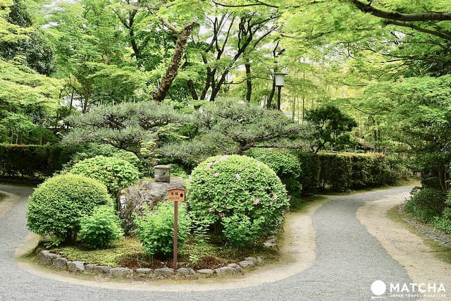 尾張小京都，犬山城下町求良緣賞名城吃喝玩樂