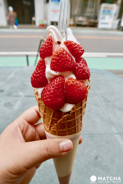 尾張小京都，犬山城下町求良緣賞名城吃喝玩樂