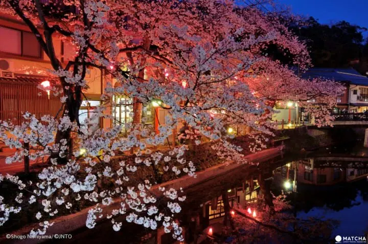 แนะนำเสื้อผ้า การแต่งตัวที่เหมาะกับสภาพอากาศฤดูใบไม้ผลิของญี่ปุ่น มีนาคมถึงพฤษภาคม แต่งตัวยังไง? ไปเที่ยวไหนดี?