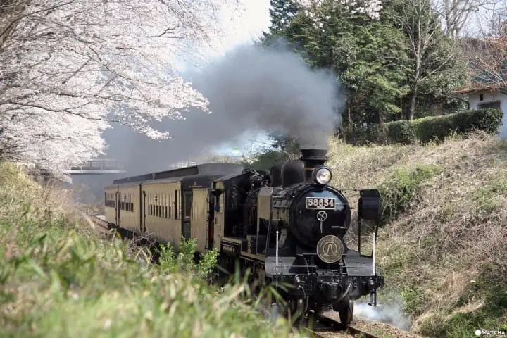 【最新版】大自然と桜の絶景にうっとり。九州地方の桜の名所10選