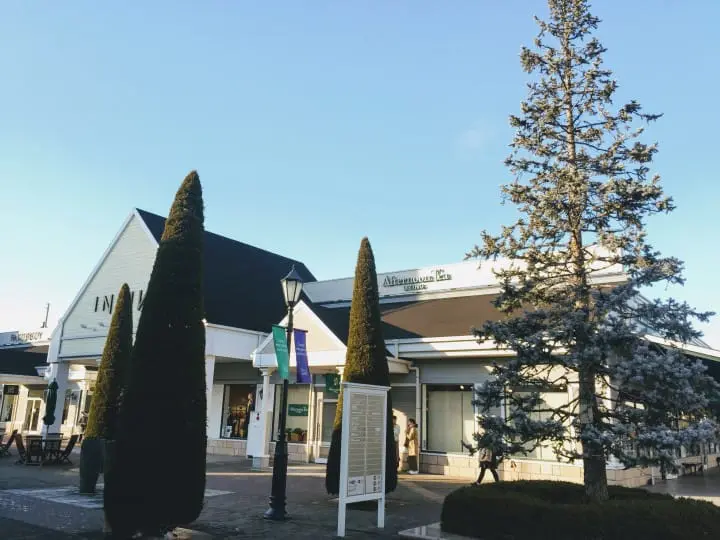 搭東武鐵道直達草莓王國「栃木縣」，特色景點讓初訪的你也能玩得很道地！