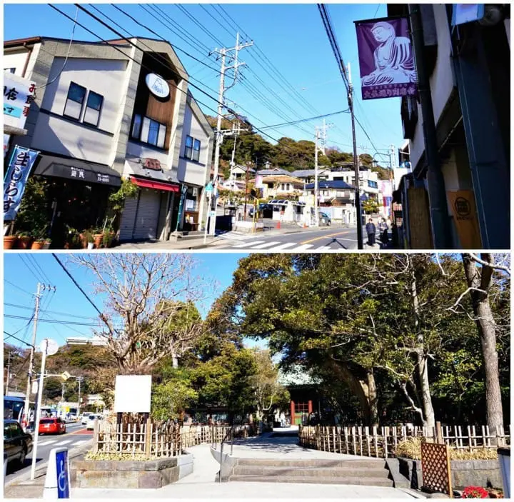 แผนเที่ยวคามาคุระและเอะโนะชิมะ ทั้งพระอาทิตย์ตกสุดสวย ไฟประดับสุดโรแมนติคติดอันดับ!