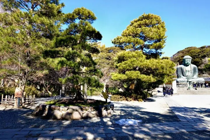 แผนเที่ยวคามาคุระและเอะโนะชิมะ ทั้งพระอาทิตย์ตกสุดสวย ไฟประดับสุดโรแมนติคติดอันดับ!