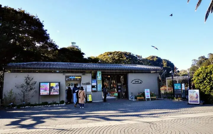 แผนเที่ยวคามาคุระและเอะโนะชิมะ ทั้งพระอาทิตย์ตกสุดสวย ไฟประดับสุดโรแมนติคติดอันดับ!