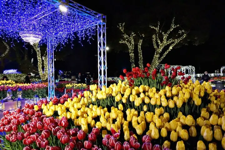 แผนเที่ยวคามาคุระและเอะโนะชิมะ ทั้งพระอาทิตย์ตกสุดสวย ไฟประดับสุดโรแมนติคติดอันดับ!