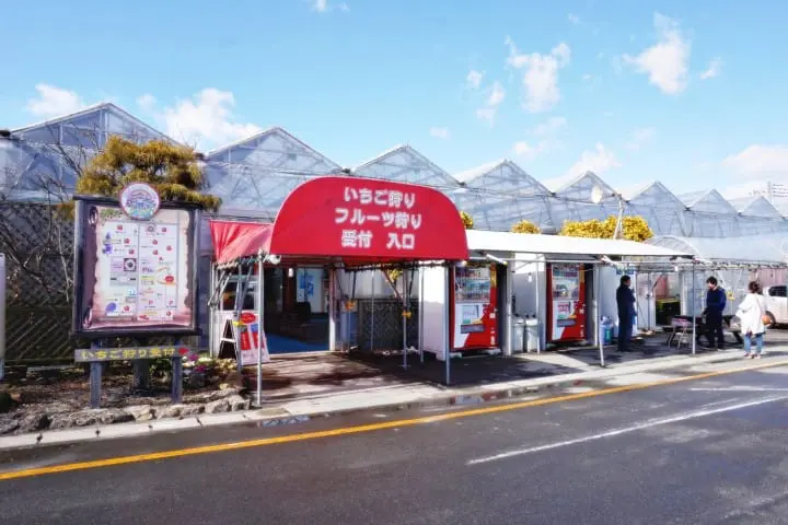 ชวนไปเก็บสตรอเบอร์รี่ แวะช้อปปิ้งเอาท์เล็ท แล้วไปชมไฟประดับสุดอลังการที่สวนดอกไม้อาชิคางะ ไปง่ายๆ ใกล้โตเกียว!