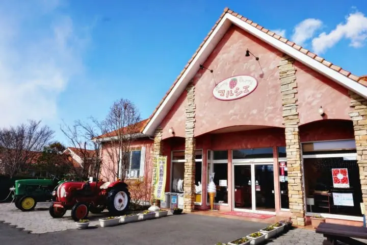 ชวนไปเก็บสตรอเบอร์รี่ แวะช้อปปิ้งเอาท์เล็ท แล้วไปชมไฟประดับสุดอลังการที่สวนดอกไม้อาชิคางะ ไปง่ายๆ ใกล้โตเกียว!