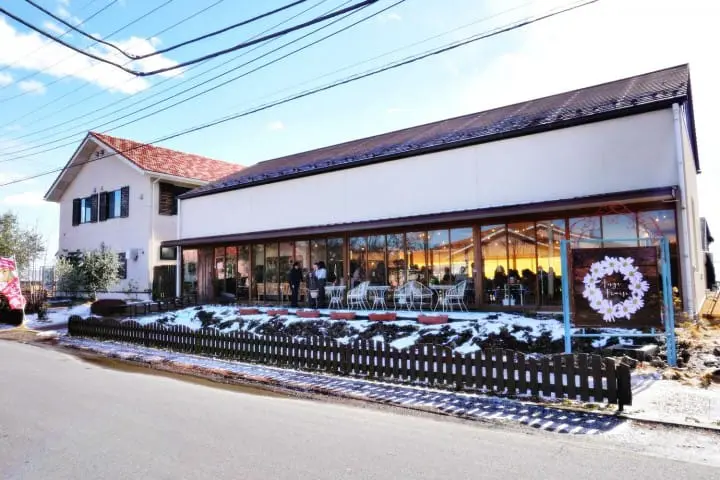 ชวนไปเก็บสตรอเบอร์รี่ แวะช้อปปิ้งเอาท์เล็ท แล้วไปชมไฟประดับสุดอลังการที่สวนดอกไม้อาชิคางะ ไปง่ายๆ ใกล้โตเกียว!