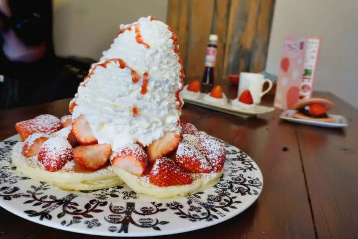 ชวนไปเก็บสตรอเบอร์รี่ แวะช้อปปิ้งเอาท์เล็ท แล้วไปชมไฟประดับสุดอลังการที่สวนดอกไม้อาชิคางะ ไปง่ายๆ ใกล้โตเกียว!