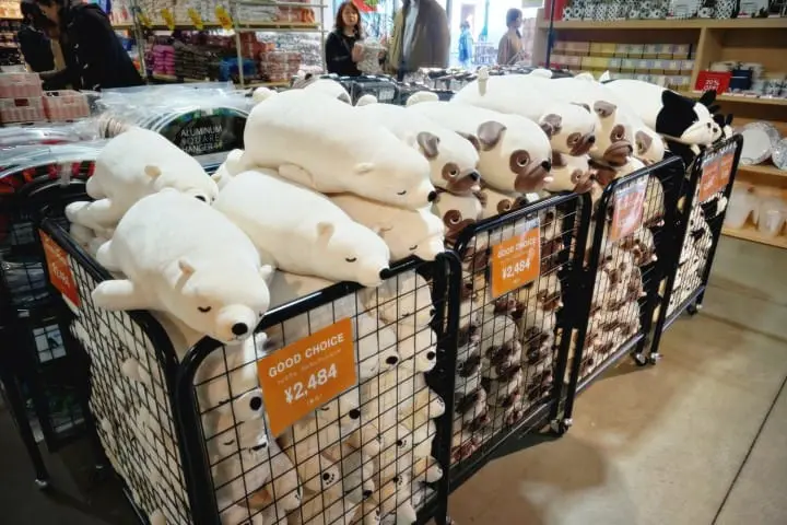 ชวนไปเก็บสตรอเบอร์รี่ แวะช้อปปิ้งเอาท์เล็ท แล้วไปชมไฟประดับสุดอลังการที่สวนดอกไม้อาชิคางะ ไปง่ายๆ ใกล้โตเกียว!