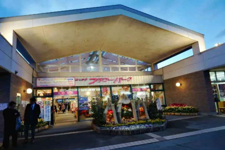 ชวนไปเก็บสตรอเบอร์รี่ แวะช้อปปิ้งเอาท์เล็ท แล้วไปชมไฟประดับสุดอลังการที่สวนดอกไม้อาชิคางะ ไปง่ายๆ ใกล้โตเกียว!