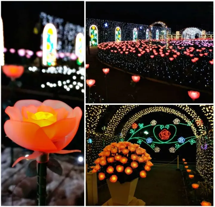 ชวนไปเก็บสตรอเบอร์รี่ แวะช้อปปิ้งเอาท์เล็ท แล้วไปชมไฟประดับสุดอลังการที่สวนดอกไม้อาชิคางะ ไปง่ายๆ ใกล้โตเกียว!