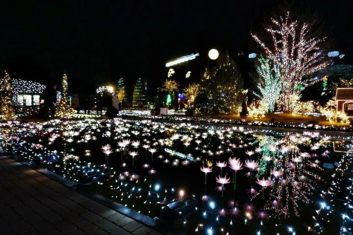 ชวนไปเก็บสตรอเบอร์รี่ แวะช้อปปิ้งเอาท์เล็ท แล้วไปชมไฟประดับสุดอลังการที่สวนดอกไม้อาชิคางะ ไปง่ายๆ ใกล้โตเกียว!