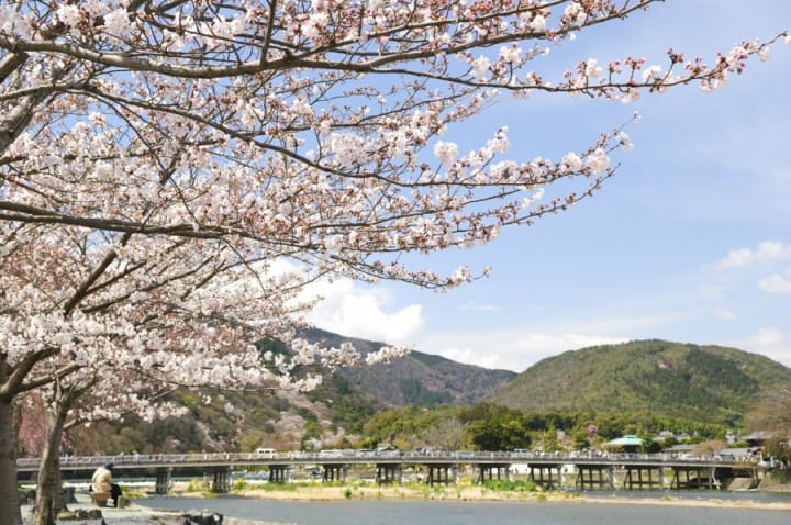 京都の桜を満喫!花見のベストスポット15と楽しむためのヒント