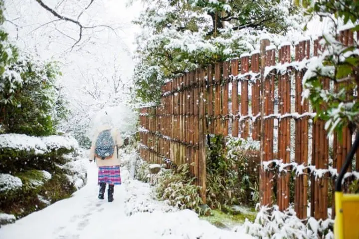 日本石川和田屋雪中