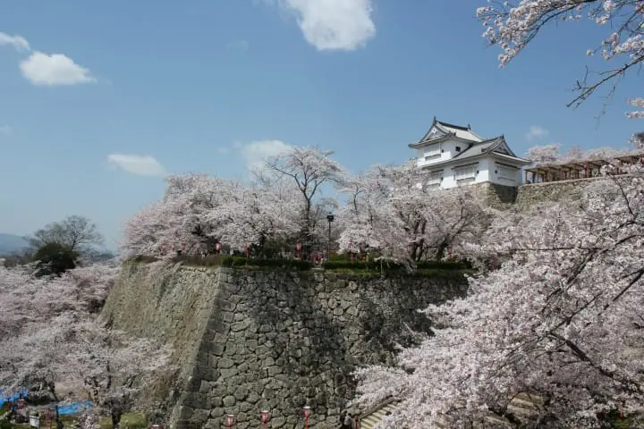 Tsuyama Castle Kakuzan Park