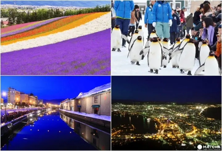 新干线坐到饱就是任性，「JR PASS全国版」让你游走日本超简单