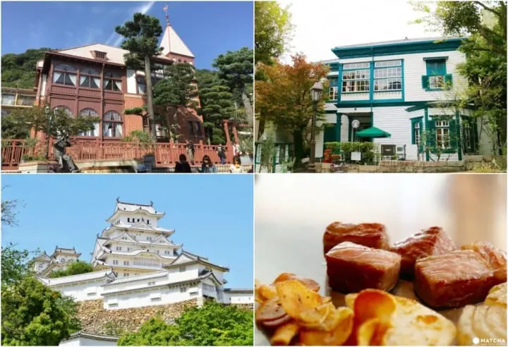 新干线坐到饱就是任性，「JR PASS全国版」让你游走日本超简单