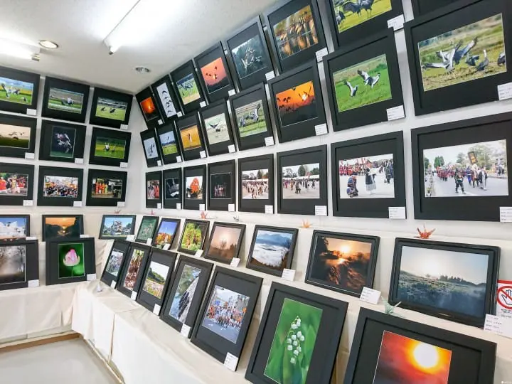 【鹿儿岛】出水市两天一夜乡下小旅行