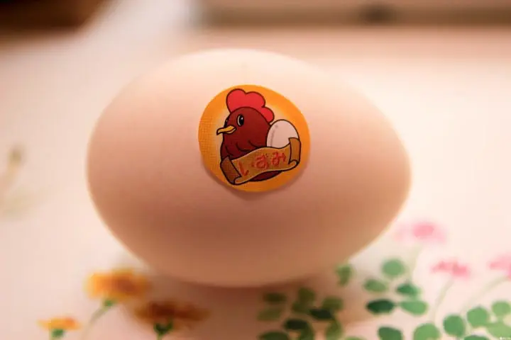 【鹿儿岛】出水市两天一夜乡下小旅行 穿和服乘水牛车、入住农家民宿、吃亲子料理